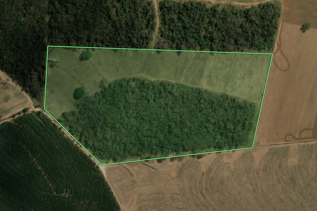 Imagem de satélite do imóvel rural em Ribeirão Bonito (SP), com o contorno declarado no CAR desenhado por cima.