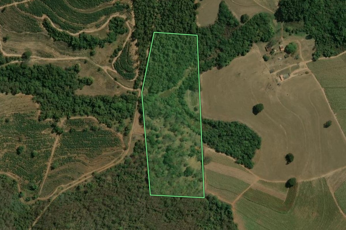Imagem de satélite do imóvel rural em Ribeirão Bonito (SP), com o contorno declarado no CAR desenhado por cima.