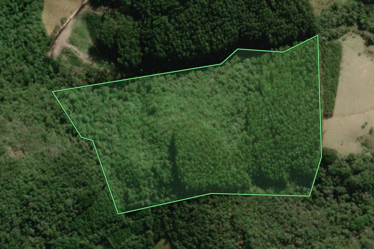 Imagem de satélite do imóvel rural em Ribeirão Branco (SP), com o contorno declarado no CAR desenhado por cima.