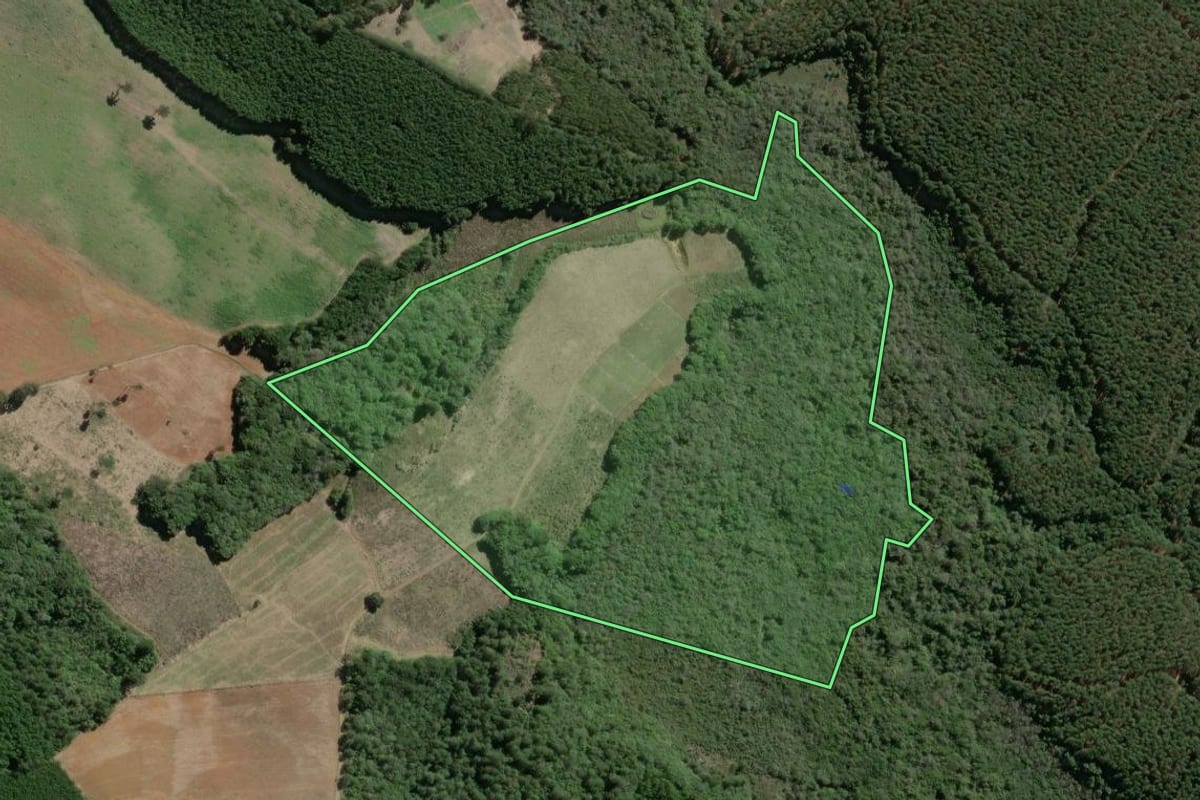 Imagem de satélite do imóvel rural em Ribeirão Branco (SP), com o contorno declarado no CAR desenhado por cima.