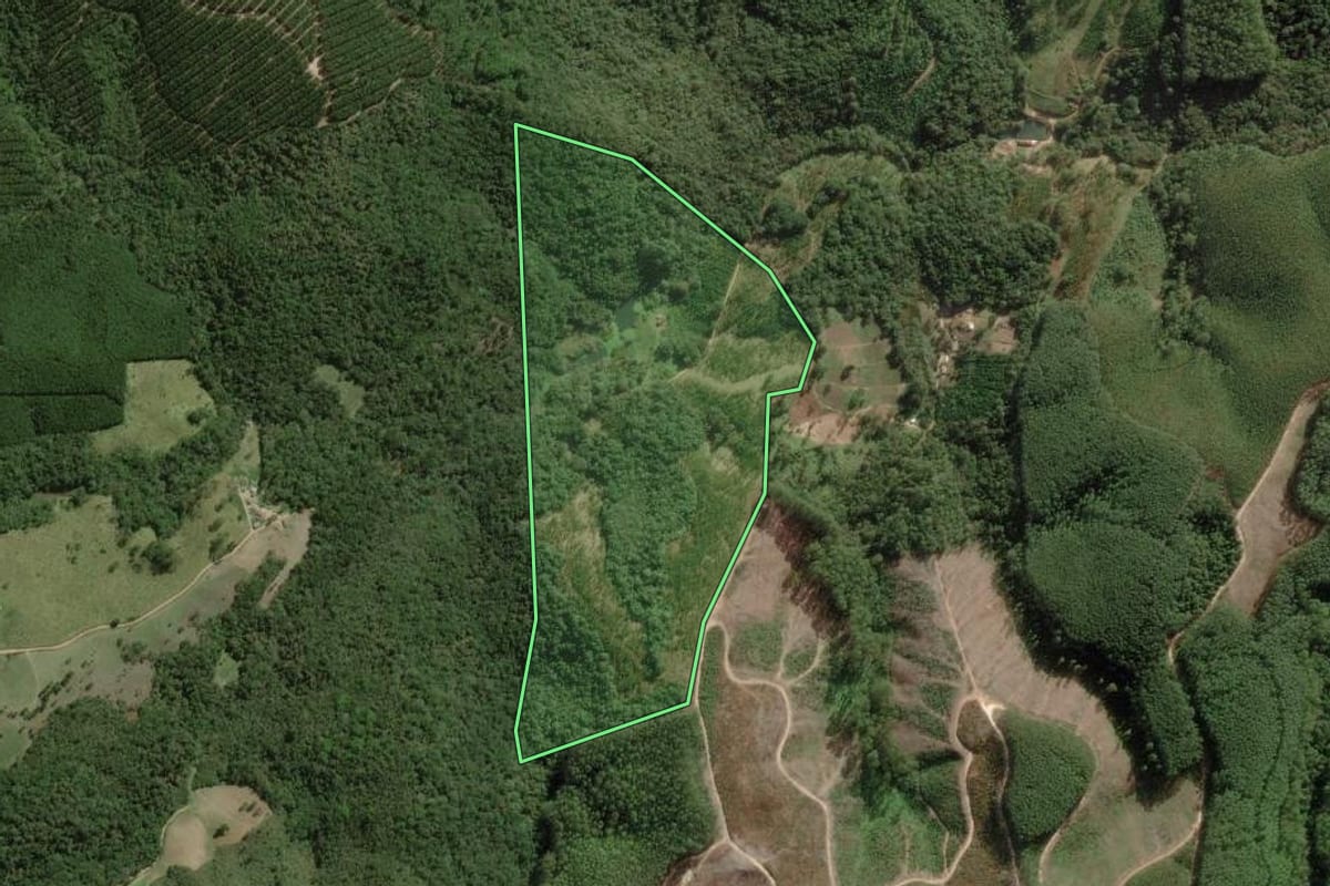 Imagem de satélite do imóvel rural em Ribeirão Branco (SP), com o contorno declarado no CAR desenhado por cima.