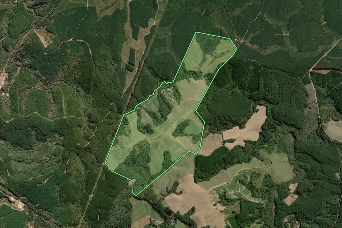 Imagem de satélite do imóvel rural em Ribeirão Branco (SP), com o contorno declarado no CAR desenhado por cima.