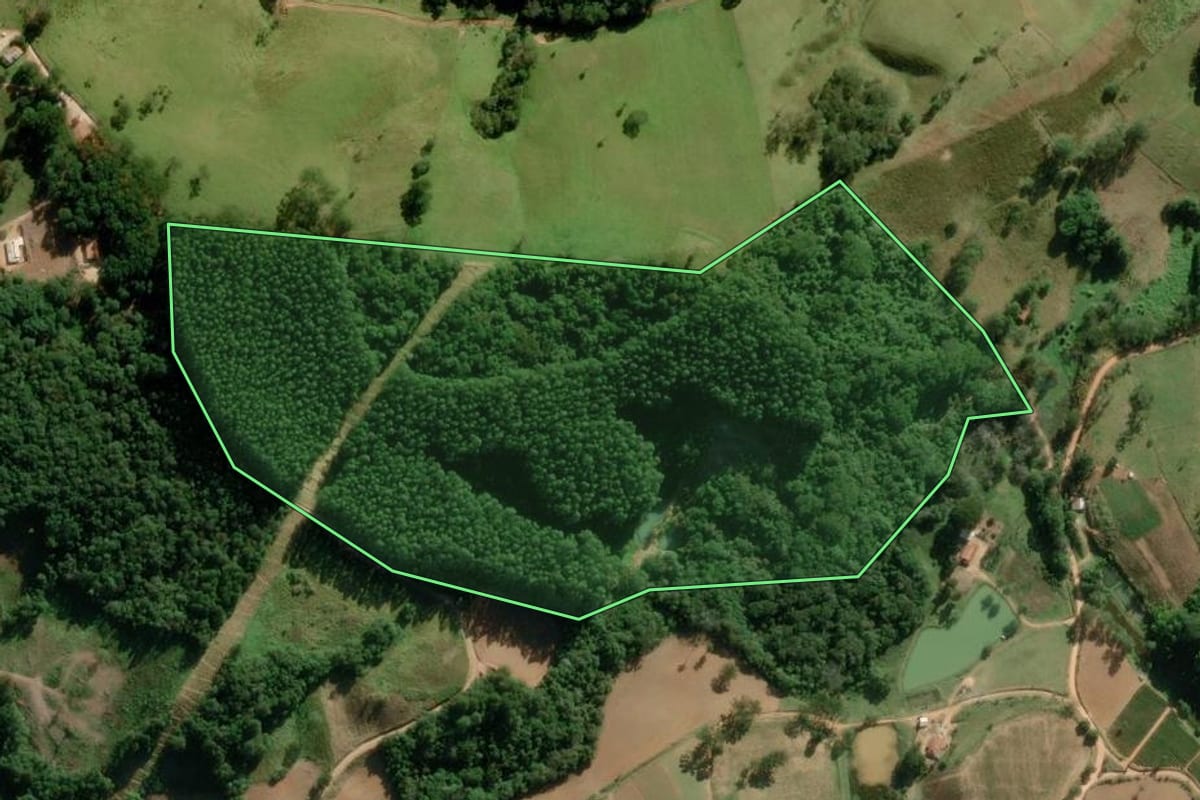 Imagem de satélite do imóvel rural em Ribeirão Branco (SP), com o contorno declarado no CAR desenhado por cima.