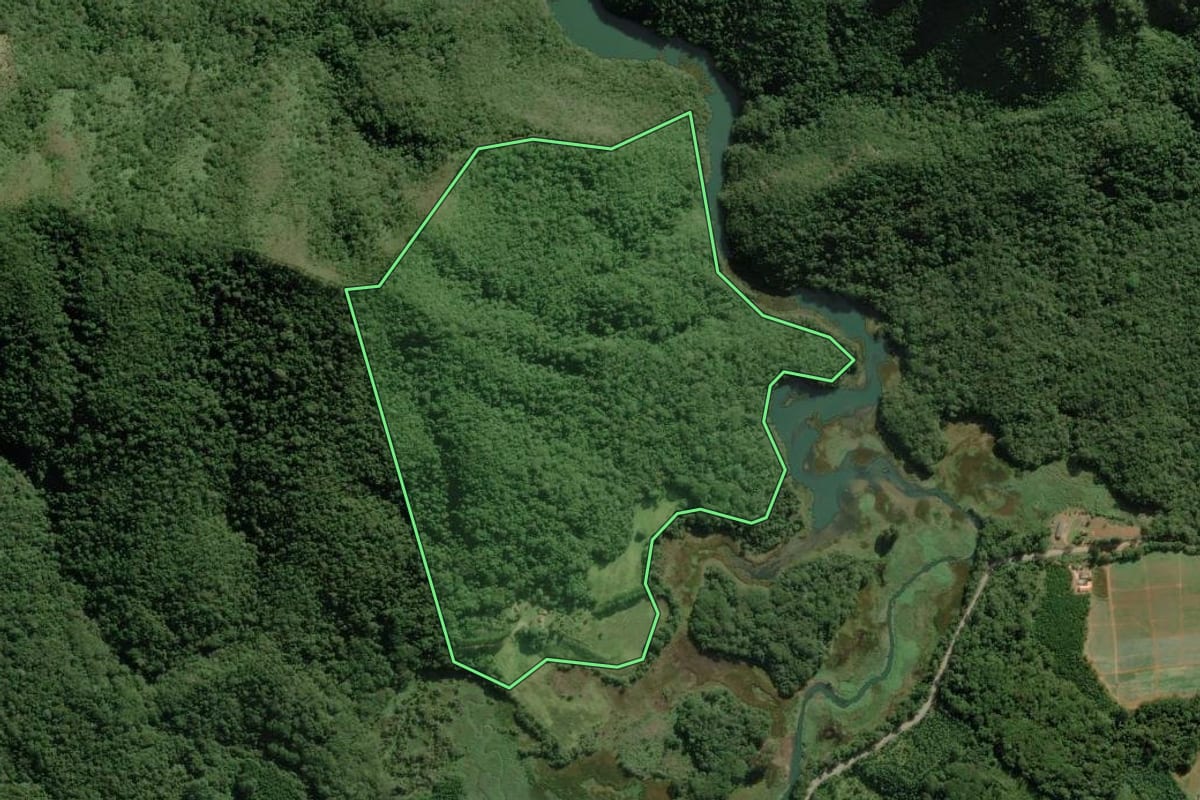 Imagem de satélite do imóvel rural em Ribeirão Branco (SP), com o contorno declarado no CAR desenhado por cima.