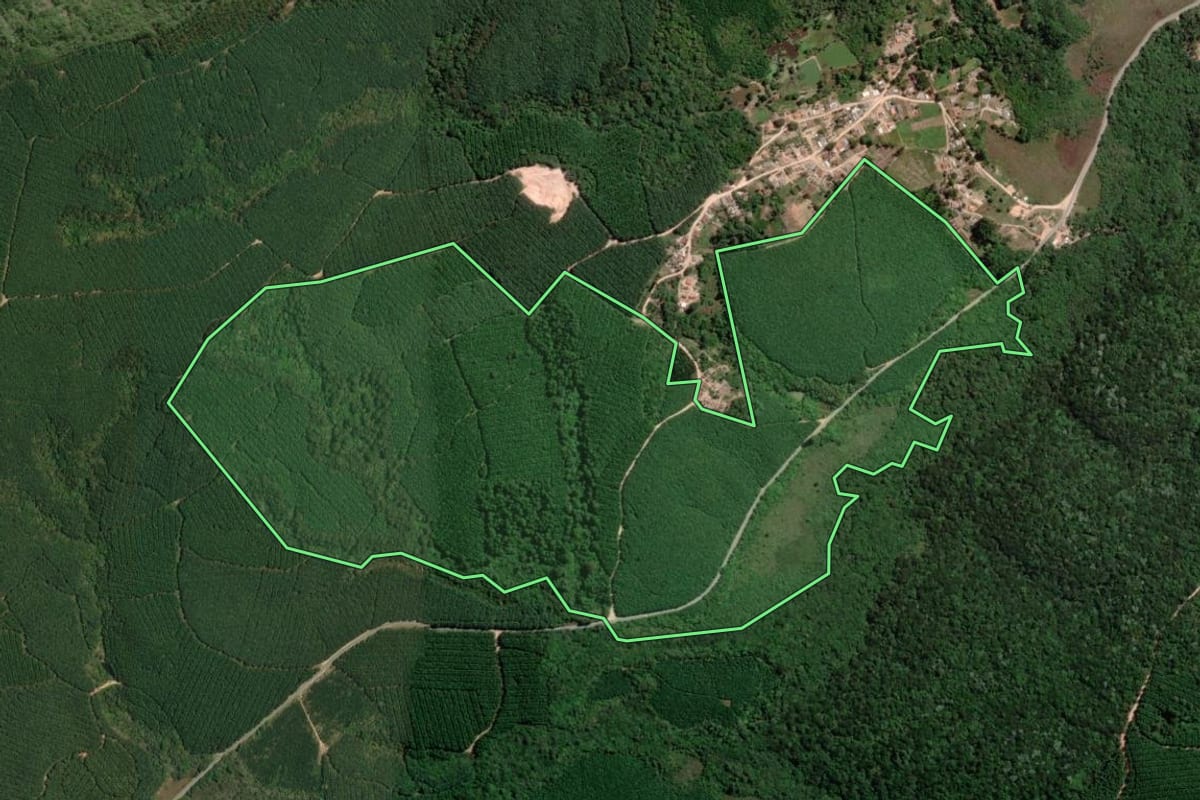 Imagem de satélite do imóvel rural em Ribeirão Branco (SP), com o contorno declarado no CAR desenhado por cima.