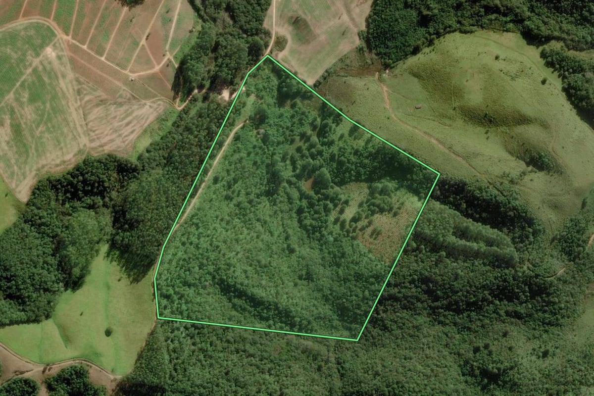 Imagem de satélite do imóvel rural em Ribeirão Branco (SP), com o contorno declarado no CAR desenhado por cima.