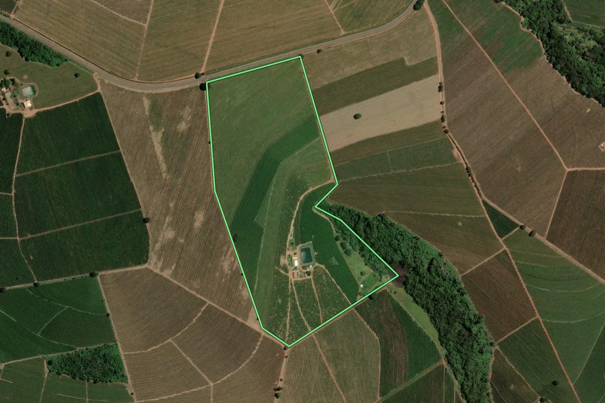 Imagem de satélite do imóvel rural em Ribeirão Corrente (SP), com o contorno declarado no CAR desenhado por cima.