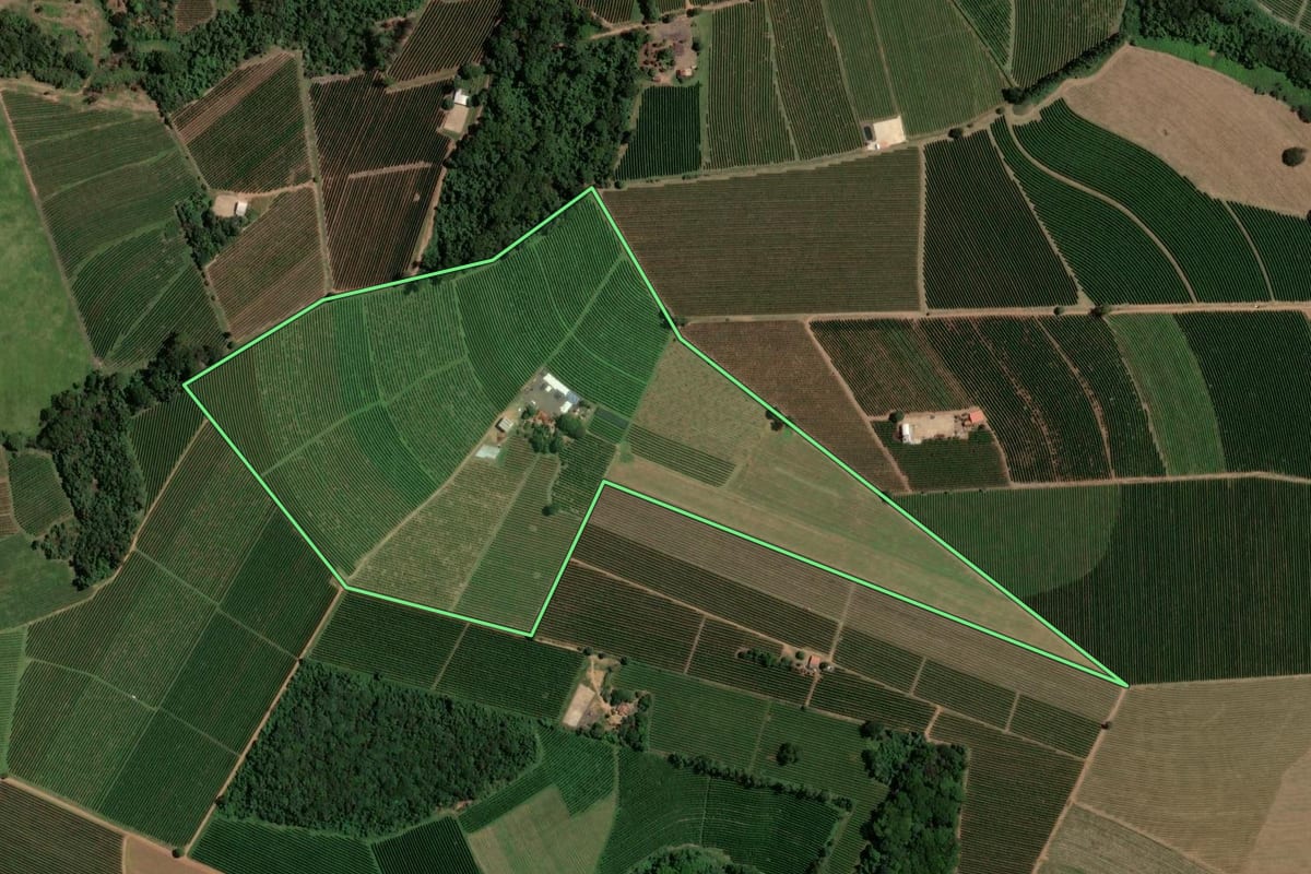 Imagem de satélite do imóvel rural em Ribeirão Corrente (SP), com o contorno declarado no CAR desenhado por cima.