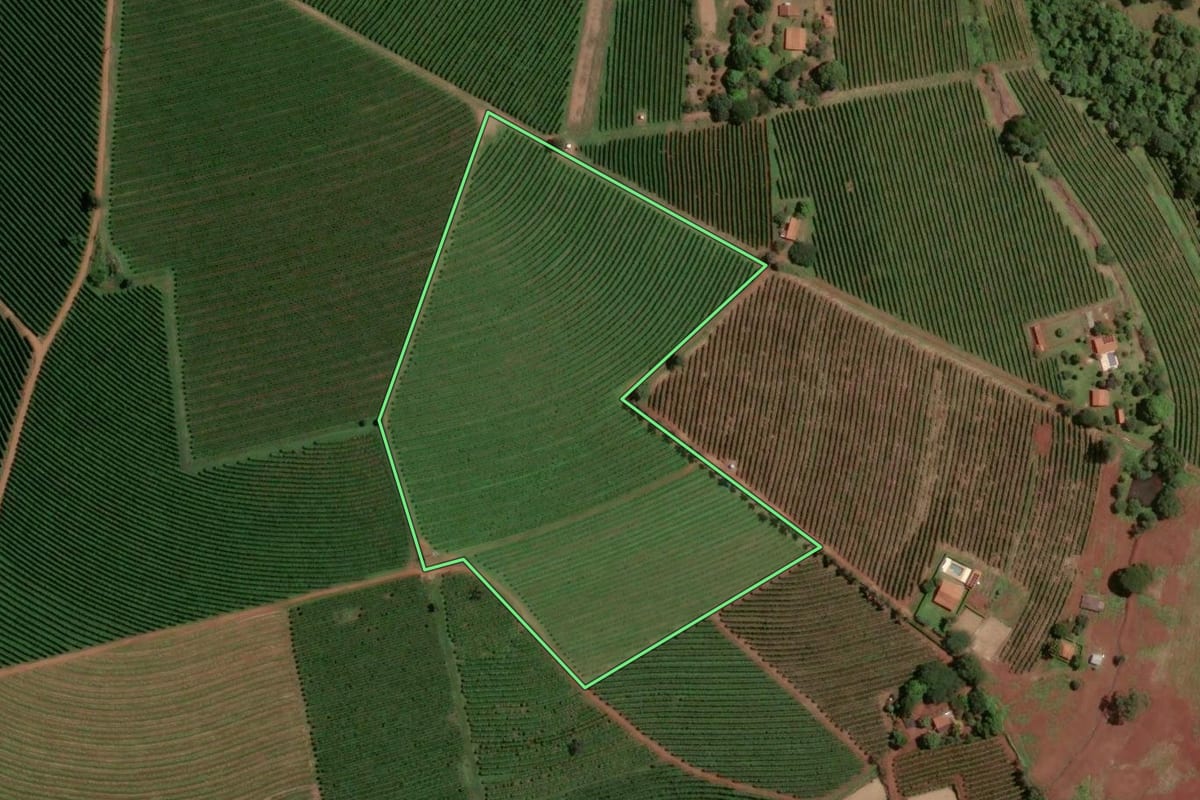 Imagem de satélite do imóvel rural em Ribeirão Corrente (SP), com o contorno declarado no CAR desenhado por cima.