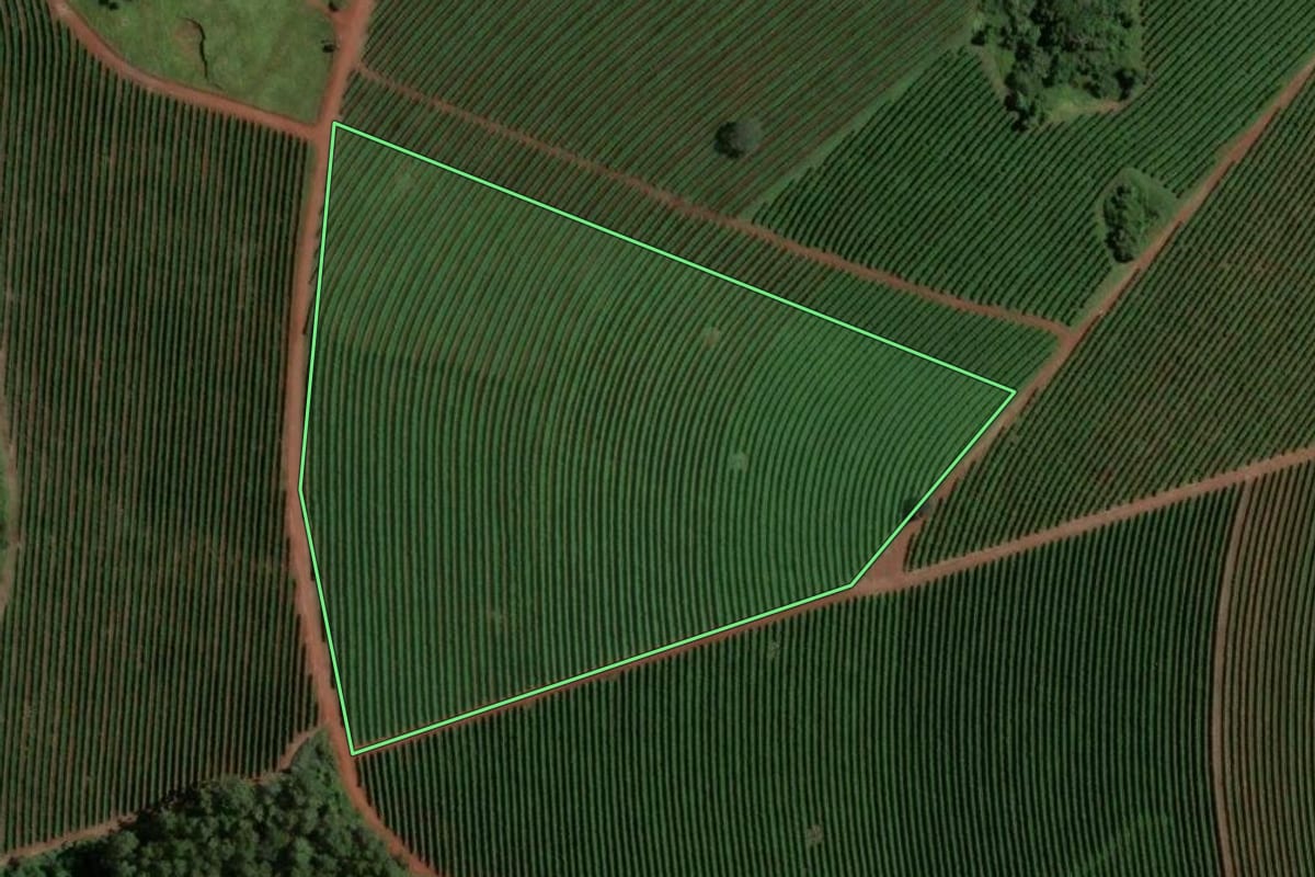 Imagem de satélite do imóvel rural em Ribeirão Corrente (SP), com o contorno declarado no CAR desenhado por cima.