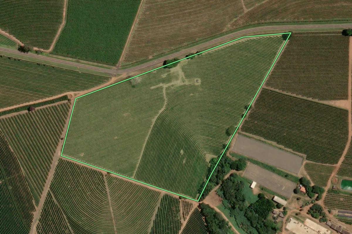 Imagem de satélite do imóvel rural em Ribeirão Corrente (SP), com o contorno declarado no CAR desenhado por cima.