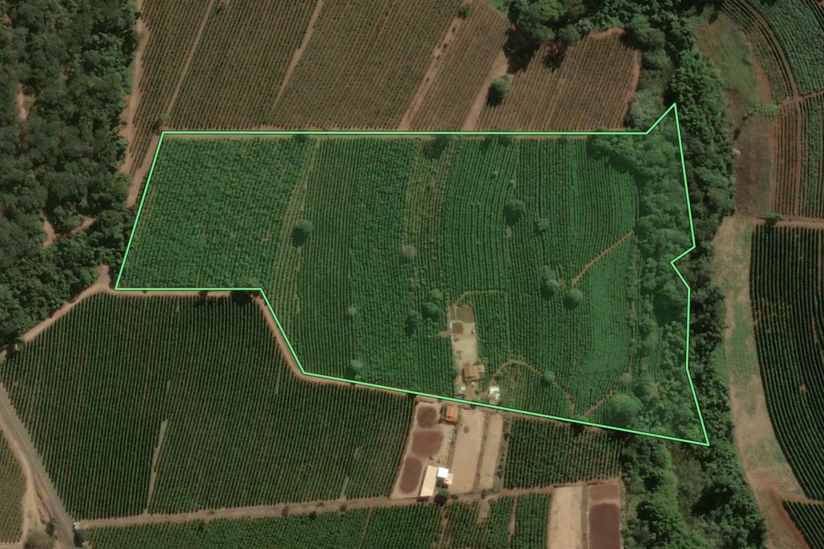 Imagem de satélite do imóvel rural em Ribeirão Corrente (SP), com o contorno declarado no CAR desenhado por cima.