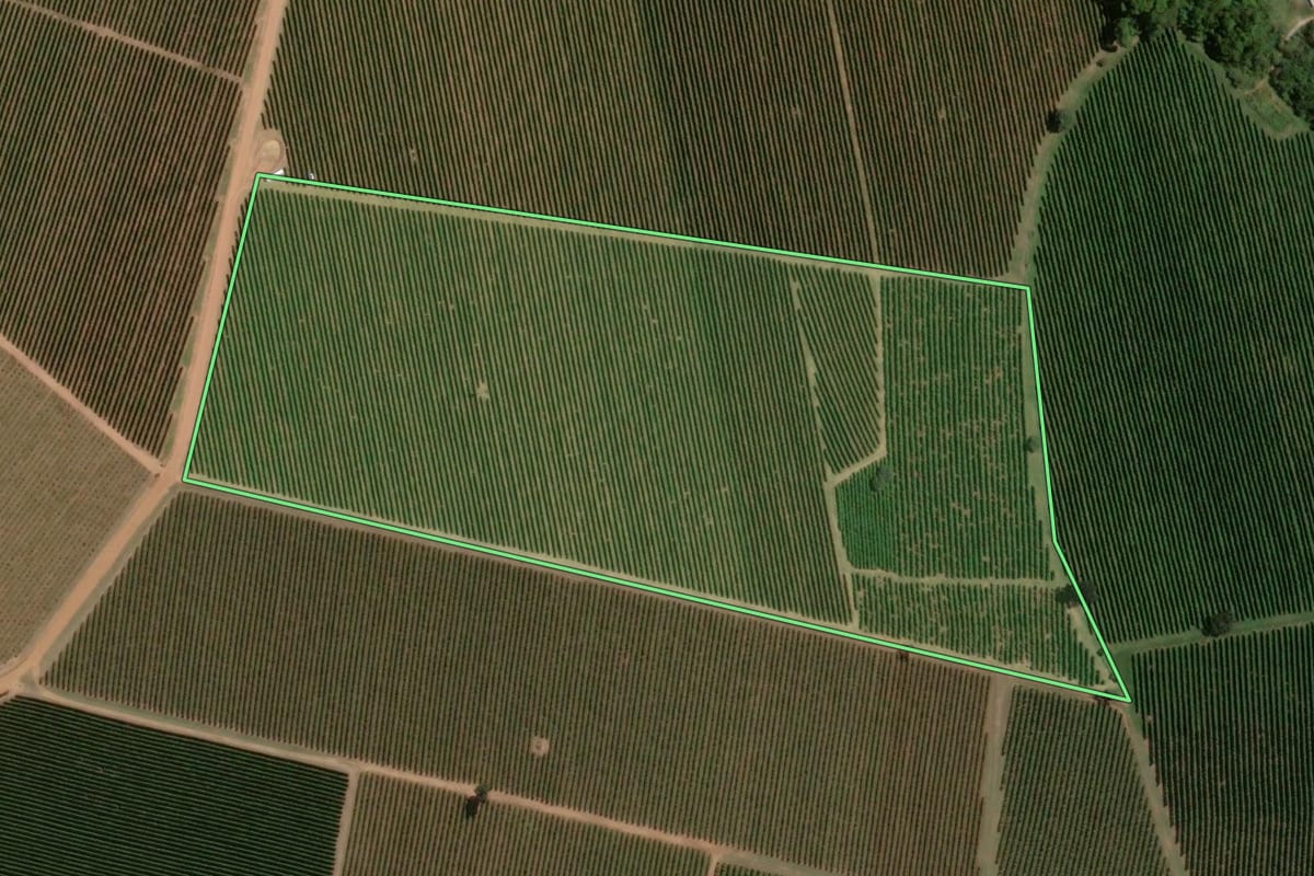 Imagem de satélite do imóvel rural em Ribeirão Corrente (SP), com o contorno declarado no CAR desenhado por cima.