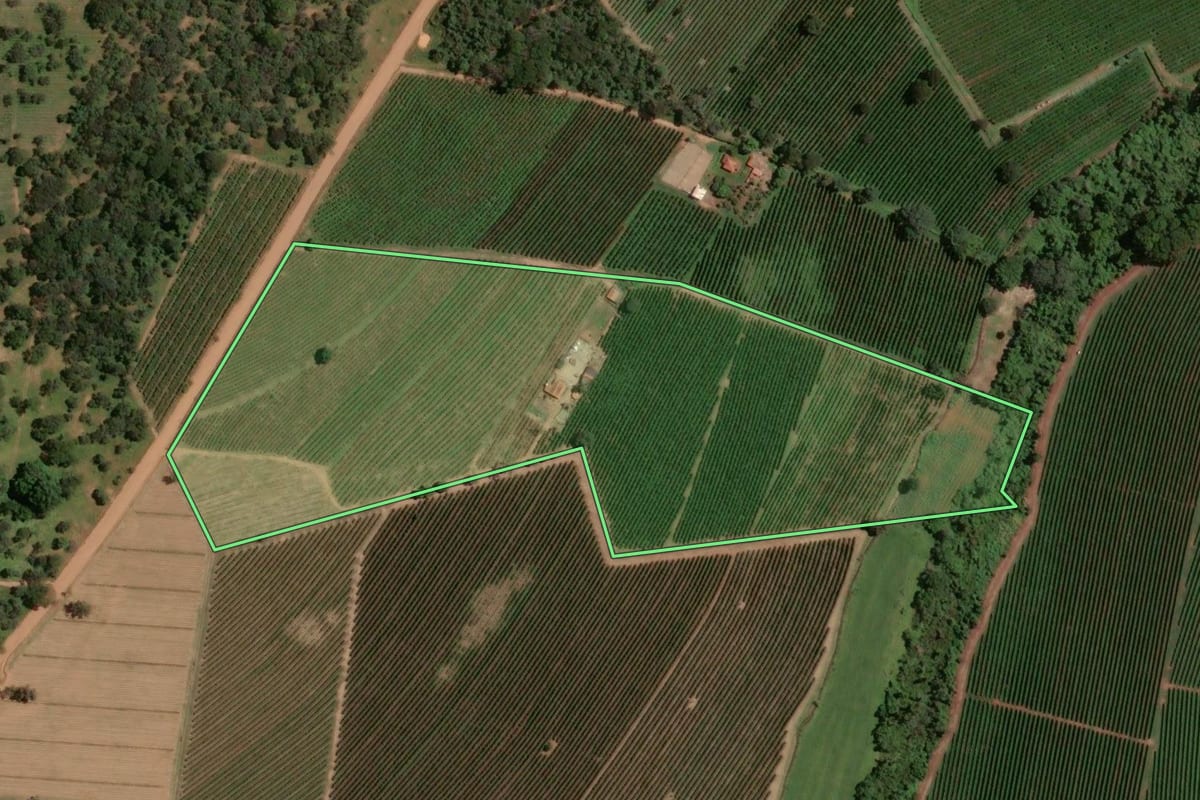 Imagem de satélite do imóvel rural em Ribeirão Corrente (SP), com o contorno declarado no CAR desenhado por cima.