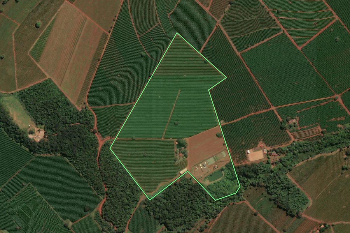 Imagem de satélite do imóvel rural em Ribeirão Corrente (SP), com o contorno declarado no CAR desenhado por cima.