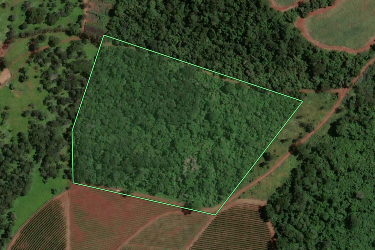 Imagem de satélite do imóvel rural em Ribeirão Corrente (SP), com o contorno declarado no CAR desenhado por cima.