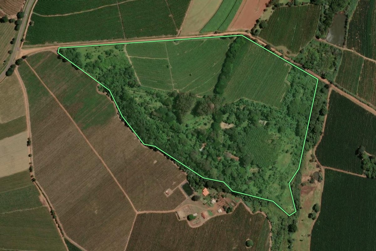 Imagem de satélite do imóvel rural em Ribeirão Corrente (SP), com o contorno declarado no CAR desenhado por cima.