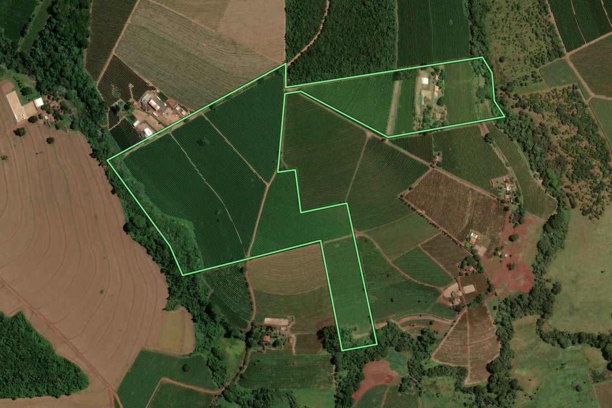 Imagem de satélite do imóvel rural em Ribeirão Corrente (SP), com o contorno declarado no CAR desenhado por cima.