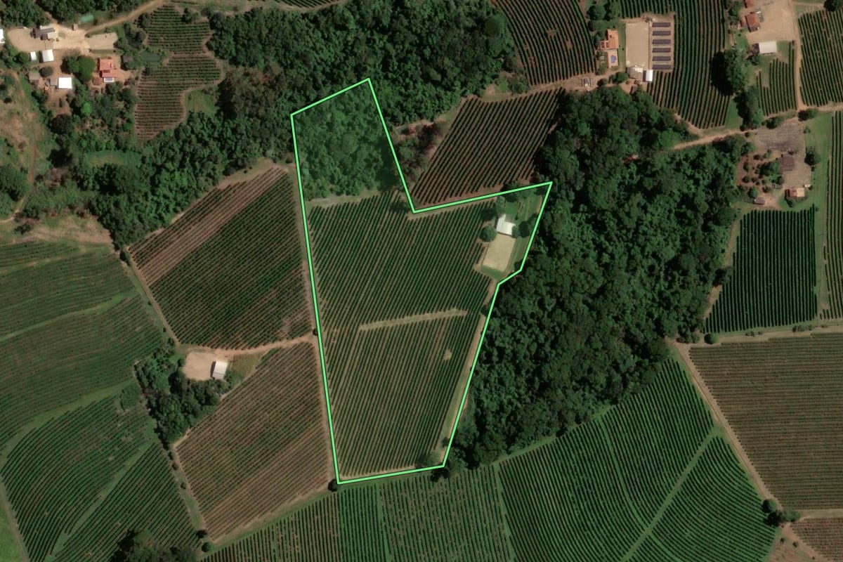 Imagem de satélite do imóvel rural em Ribeirão Corrente (SP), com o contorno declarado no CAR desenhado por cima.