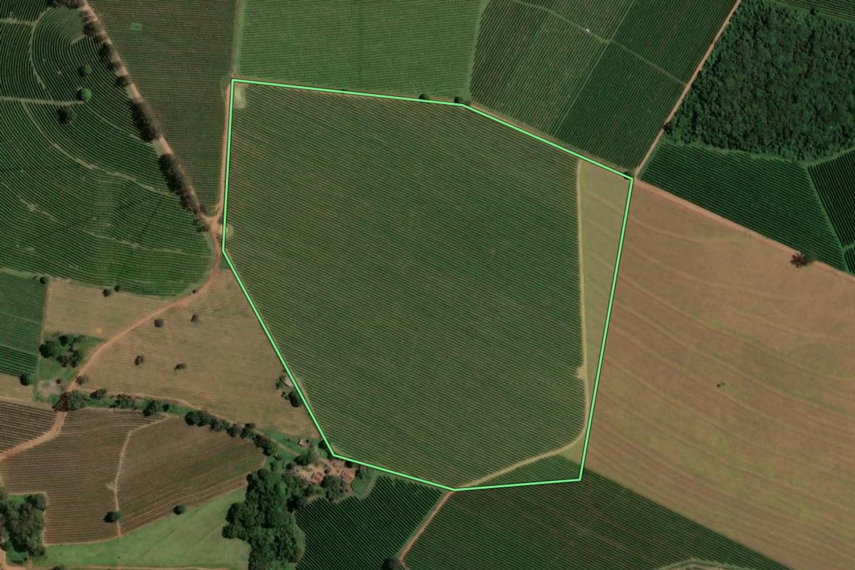 Imagem de satélite do imóvel rural em Ribeirão Corrente (SP), com o contorno declarado no CAR desenhado por cima.