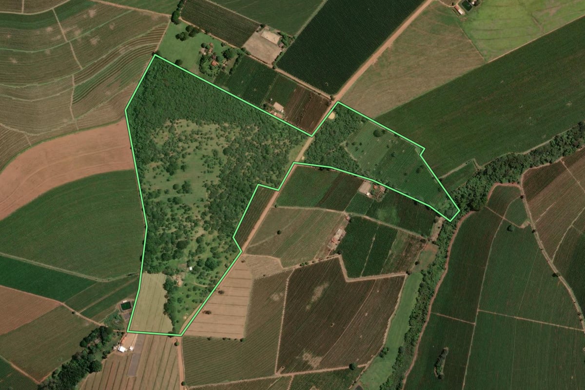 Imagem de satélite do imóvel rural em Ribeirão Corrente (SP), com o contorno declarado no CAR desenhado por cima.