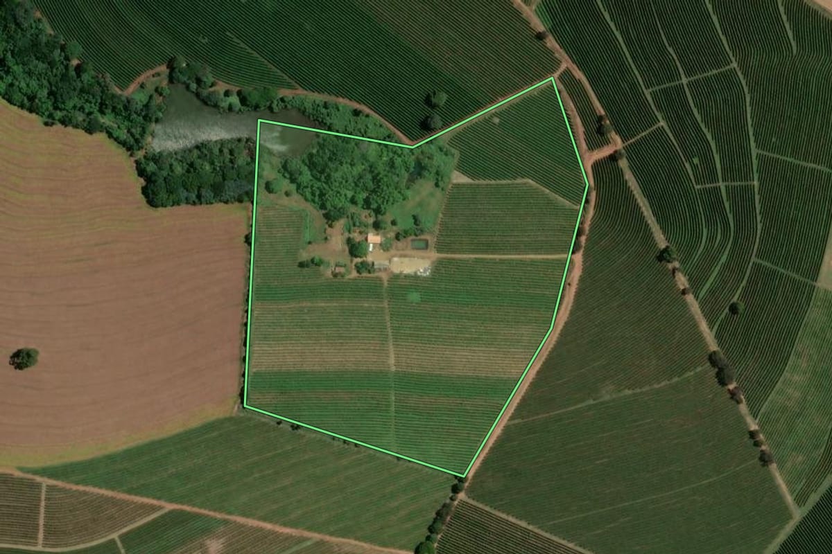 Imagem de satélite do imóvel rural em Ribeirão Corrente (SP), com o contorno declarado no CAR desenhado por cima.
