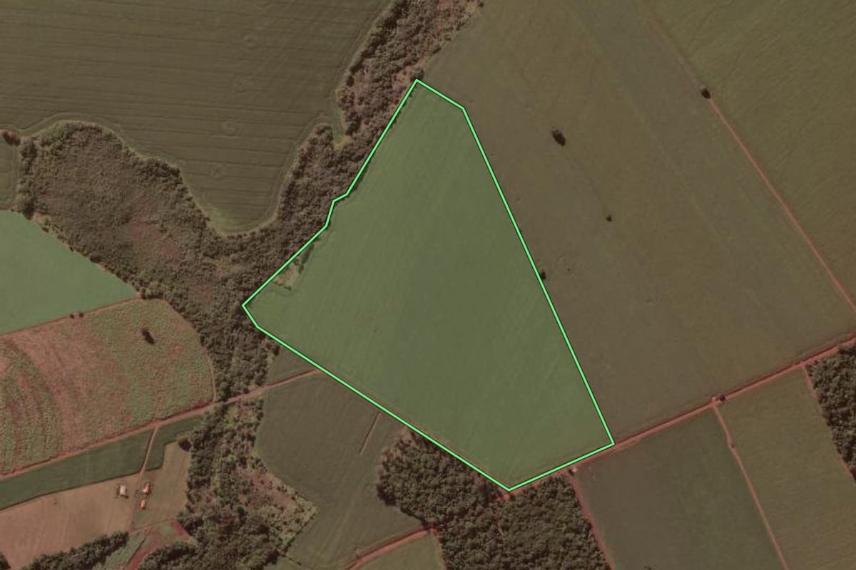 Imagem de satélite do imóvel rural em Ribeirão do Sul (SP), com o contorno declarado no CAR desenhado por cima.