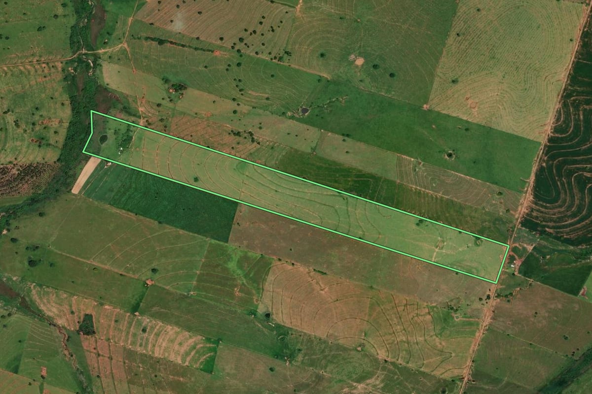 Imagem de satélite do imóvel rural em Ribeirão dos Índios (SP), com o contorno declarado no CAR desenhado por cima.