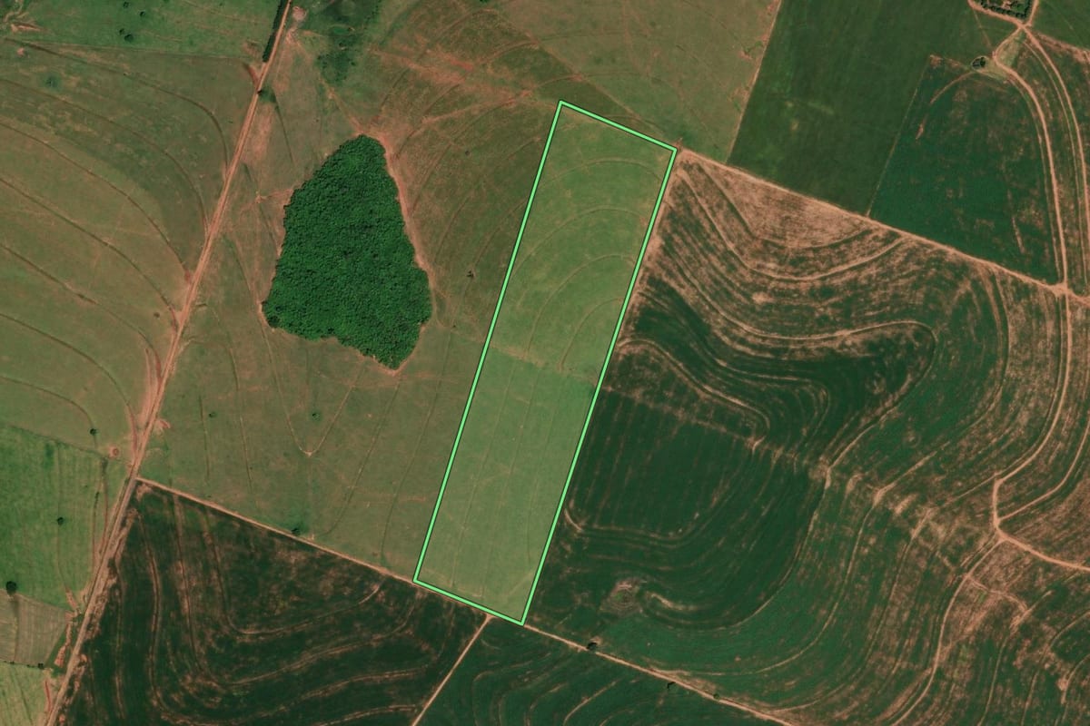 Imagem de satélite do imóvel rural em Ribeirão dos Índios (SP), com o contorno declarado no CAR desenhado por cima.