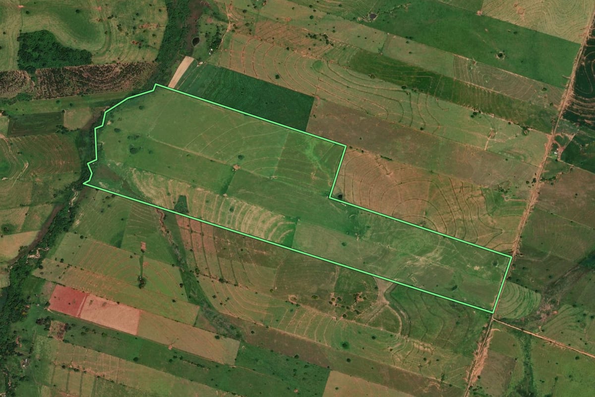 Imagem de satélite do imóvel rural em Ribeirão dos Índios (SP), com o contorno declarado no CAR desenhado por cima.