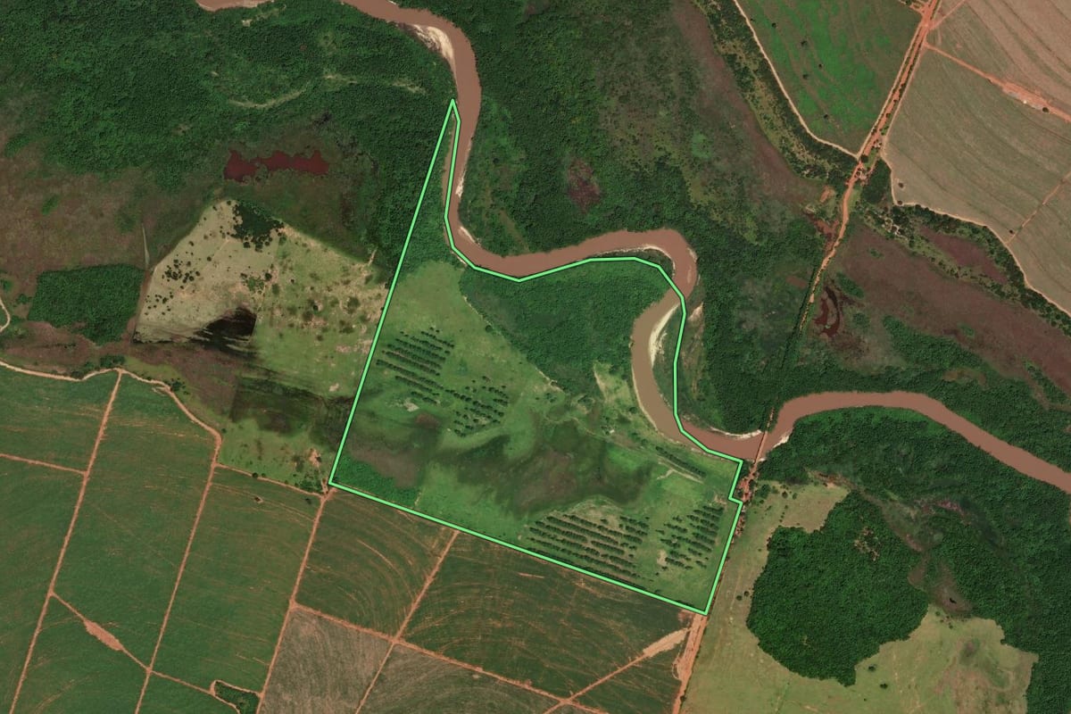 Imagem de satélite do imóvel rural em Ribeirão dos Índios (SP), com o contorno declarado no CAR desenhado por cima.