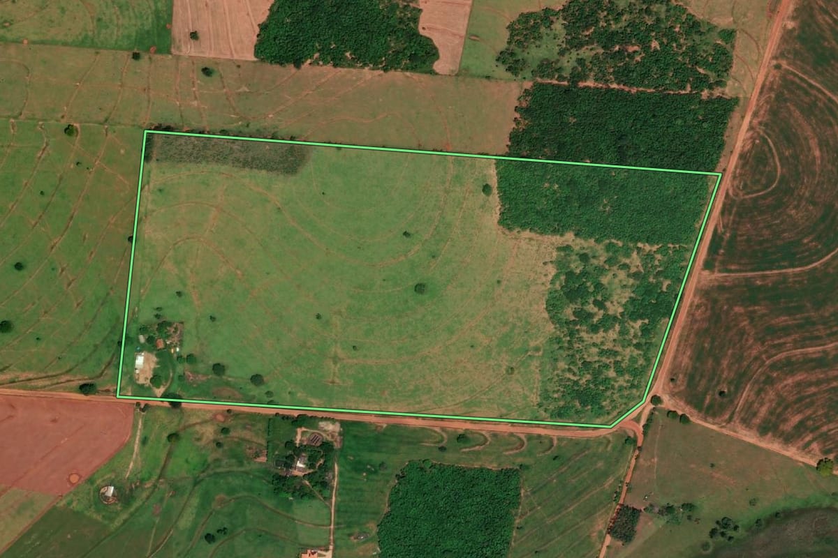Imagem de satélite do imóvel rural em Ribeirão dos Índios (SP), com o contorno declarado no CAR desenhado por cima.