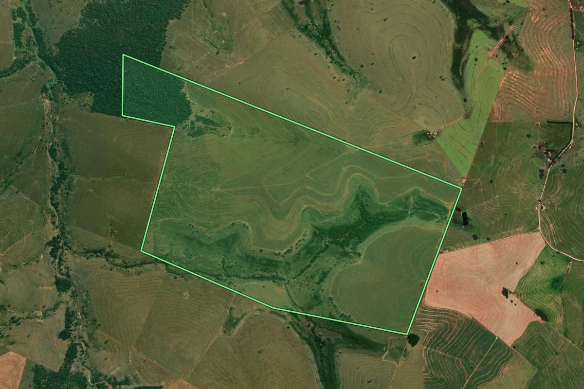 Imagem de satélite do imóvel rural em Ribeirão dos Índios (SP), com o contorno declarado no CAR desenhado por cima.