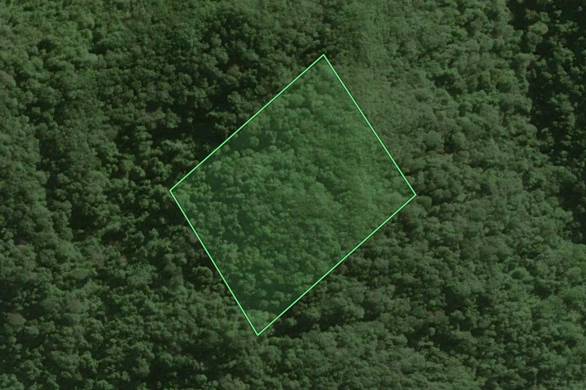 Imagem de satélite do imóvel rural em Ribeirão Grande (SP), com o contorno declarado no CAR desenhado por cima.