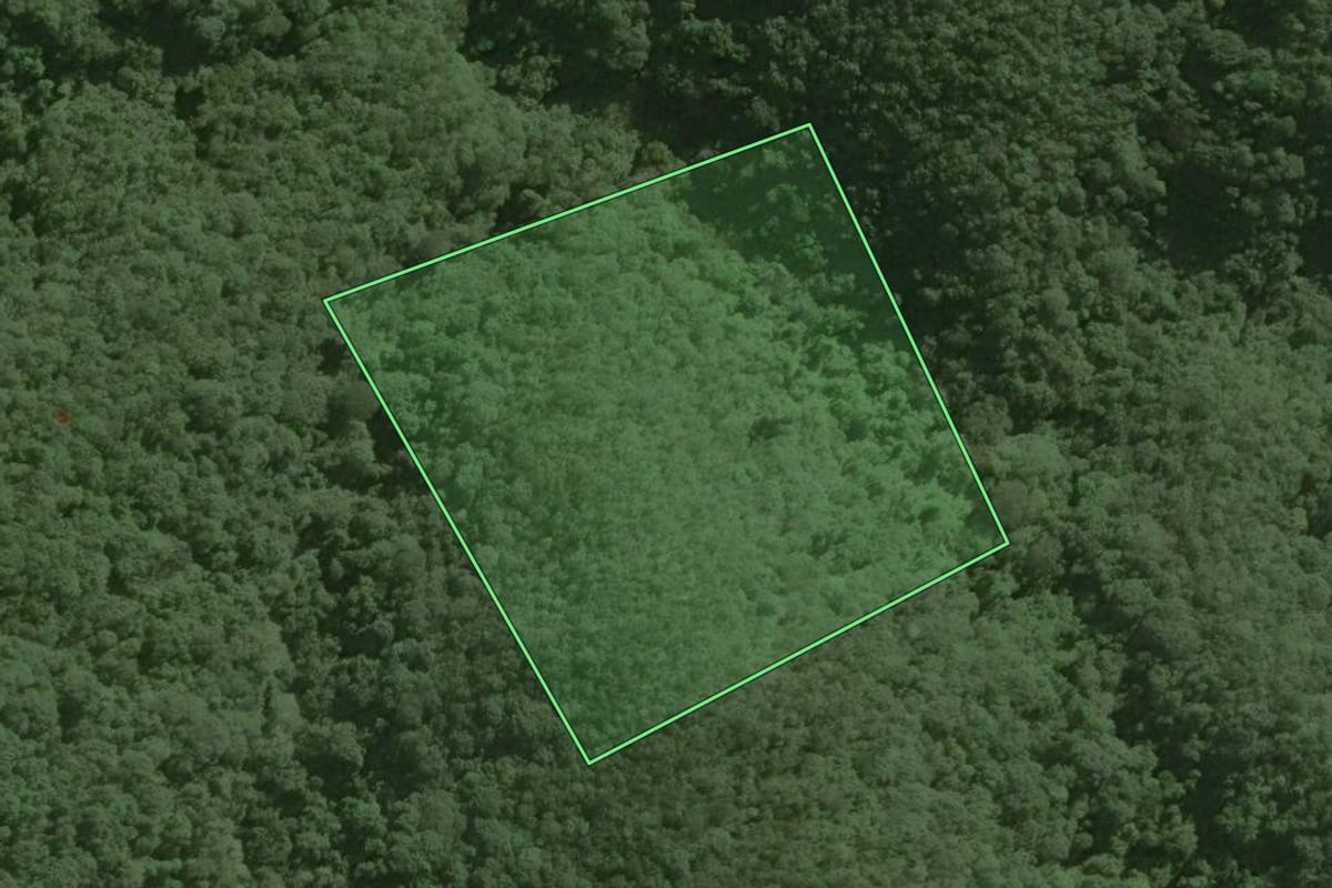 Imagem de satélite do imóvel rural em Ribeirão Grande (SP), com o contorno declarado no CAR desenhado por cima.