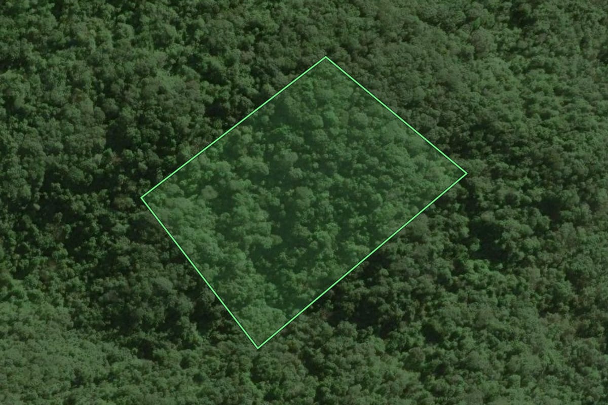 Imagem de satélite do imóvel rural em Ribeirão Grande (SP), com o contorno declarado no CAR desenhado por cima.