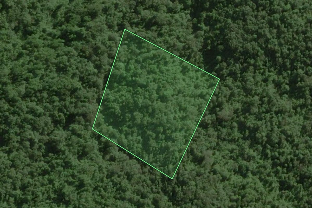 Imagem de satélite do imóvel rural em Ribeirão Grande (SP), com o contorno declarado no CAR desenhado por cima.