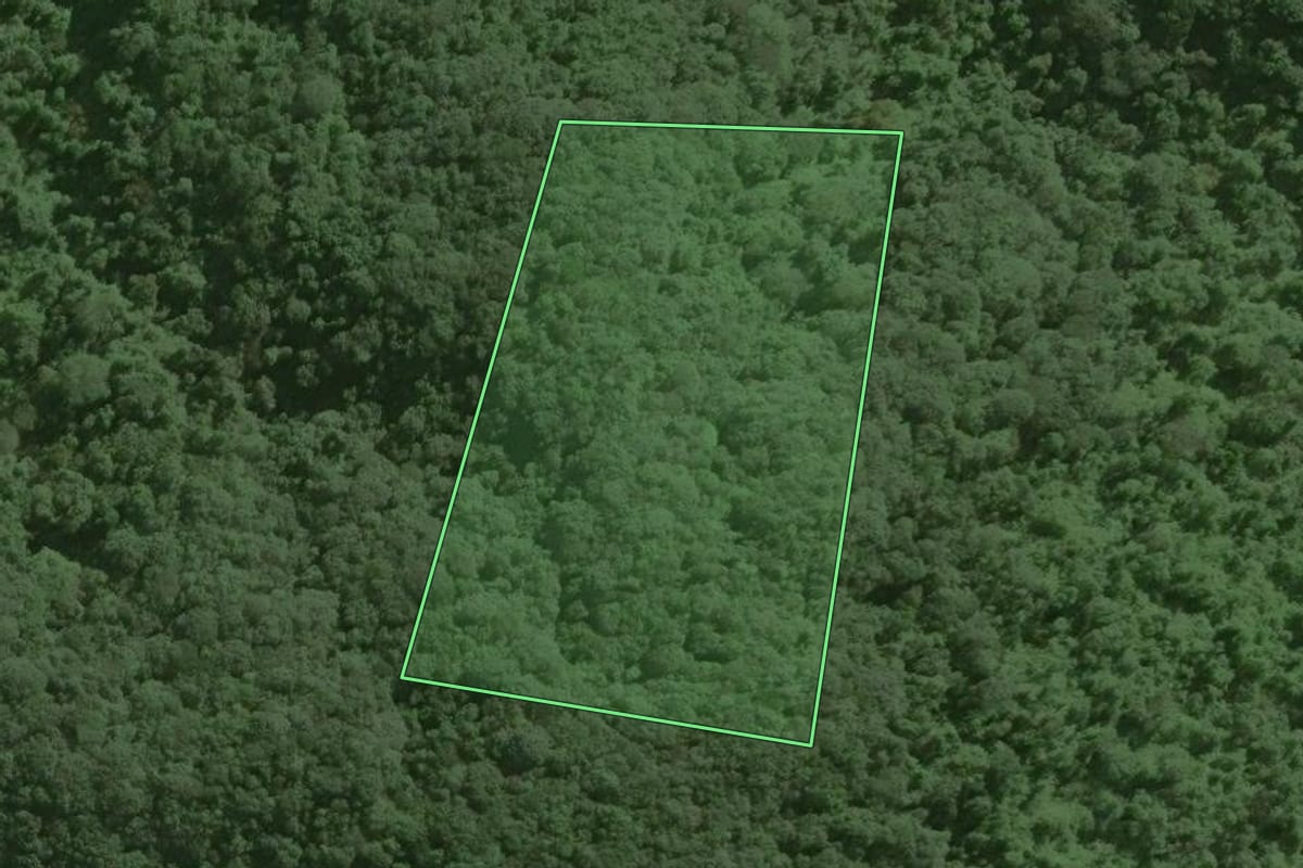 Imagem de satélite do imóvel rural em Ribeirão Grande (SP), com o contorno declarado no CAR desenhado por cima.