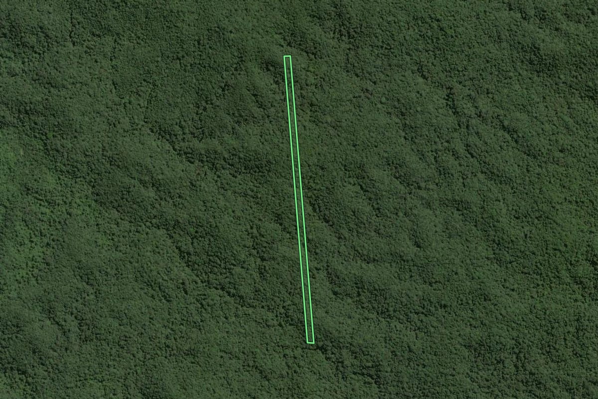 Imagem de satélite do imóvel rural em Ribeirão Grande (SP), com o contorno declarado no CAR desenhado por cima.