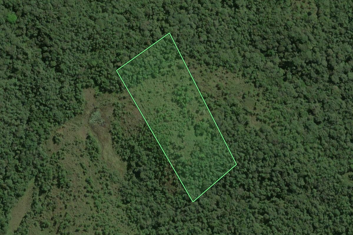 Imagem de satélite do imóvel rural em Ribeirão Grande (SP), com o contorno declarado no CAR desenhado por cima.
