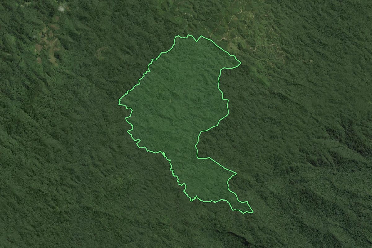 Imagem de satélite do imóvel rural em Ribeirão Grande (SP), com o contorno declarado no CAR desenhado por cima.