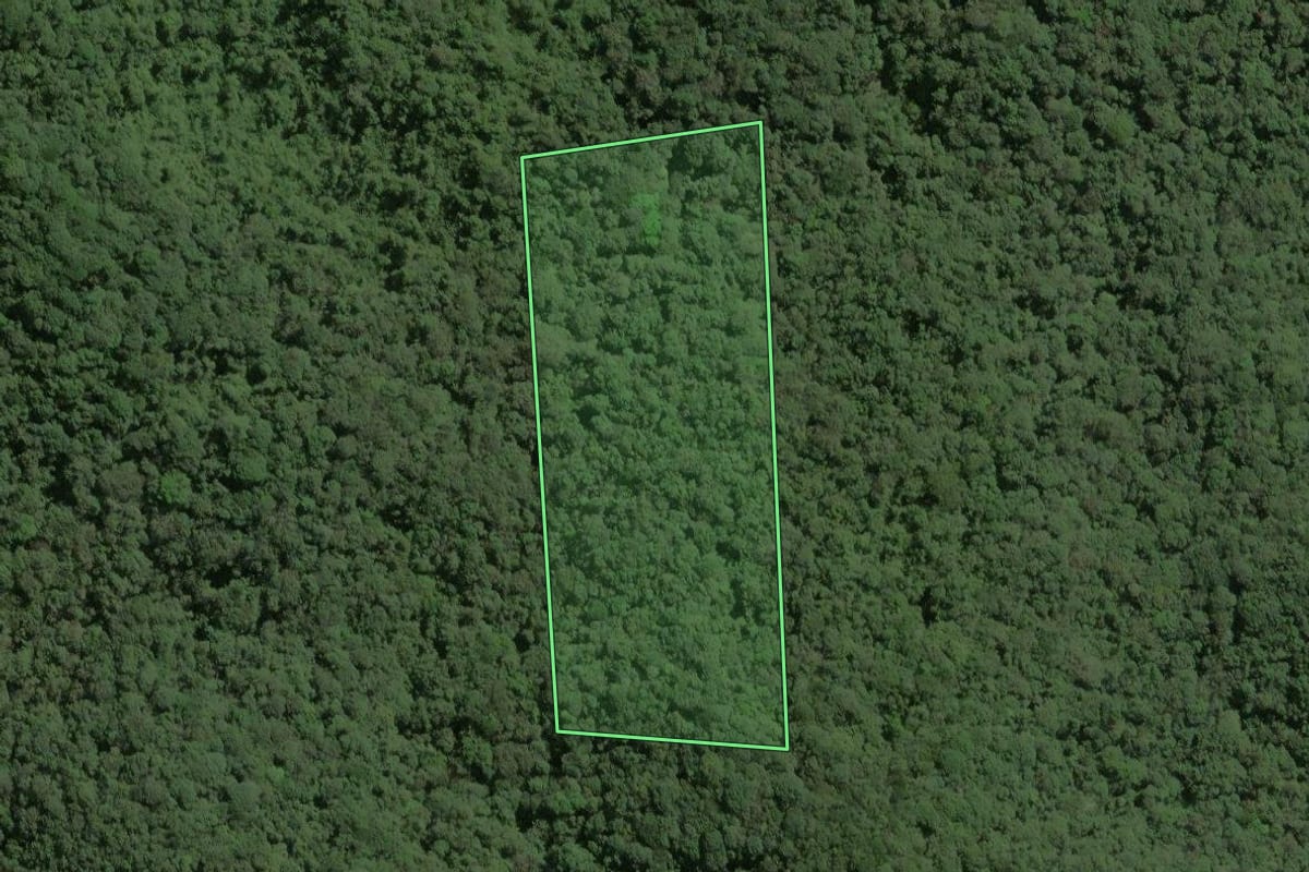 Imagem de satélite do imóvel rural em Ribeirão Grande (SP), com o contorno declarado no CAR desenhado por cima.