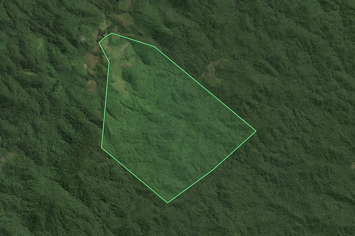 Imagem de satélite do imóvel rural em Ribeirão Grande (SP), com o contorno declarado no CAR desenhado por cima.