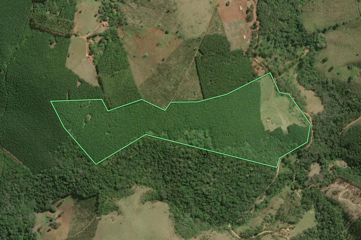 Imagem de satélite do imóvel rural em Ribeirão Grande (SP), com o contorno declarado no CAR desenhado por cima.