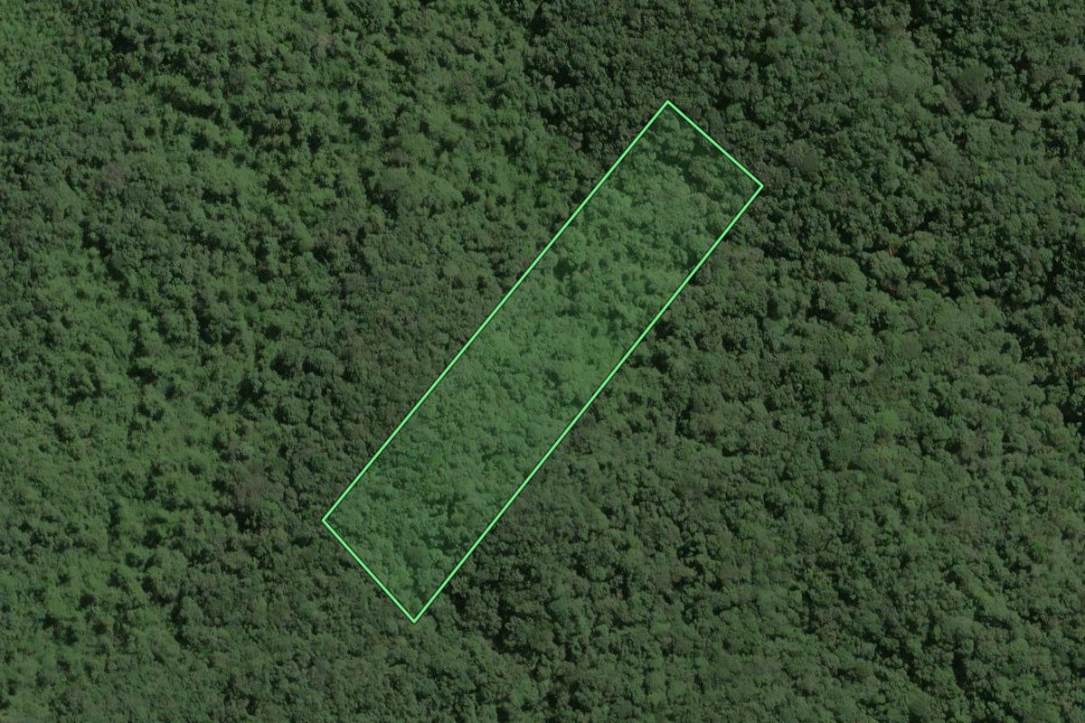 Imagem de satélite do imóvel rural em Ribeirão Grande (SP), com o contorno declarado no CAR desenhado por cima.