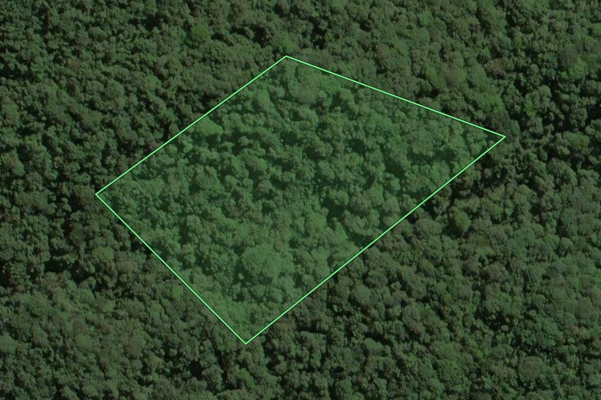 Imagem de satélite do imóvel rural em Ribeirão Grande (SP), com o contorno declarado no CAR desenhado por cima.