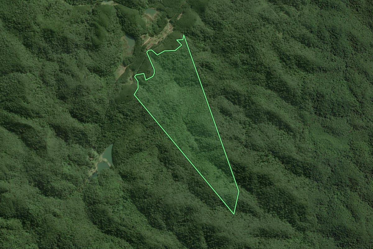 Imagem de satélite do imóvel rural em Ribeirão Grande (SP), com o contorno declarado no CAR desenhado por cima.