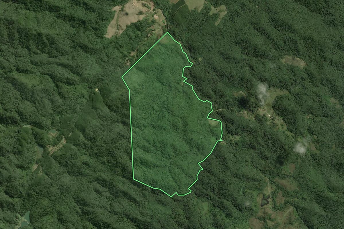 Imagem de satélite do imóvel rural em Ribeirão Grande (SP), com o contorno declarado no CAR desenhado por cima.
