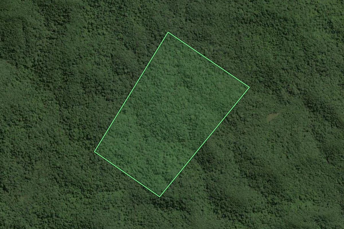 Imagem de satélite do imóvel rural em Ribeirão Grande (SP), com o contorno declarado no CAR desenhado por cima.