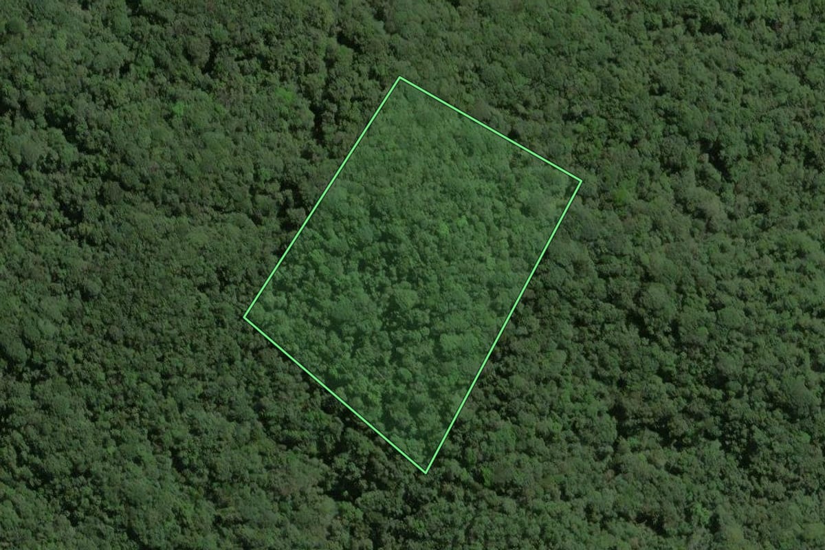 Imagem de satélite do imóvel rural em Ribeirão Grande (SP), com o contorno declarado no CAR desenhado por cima.